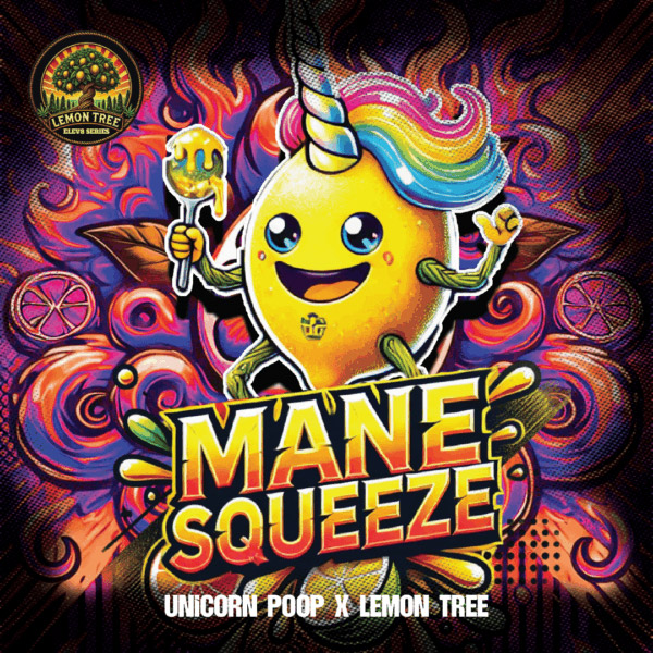 Mane Squeeze  fem Elev8 Seeds